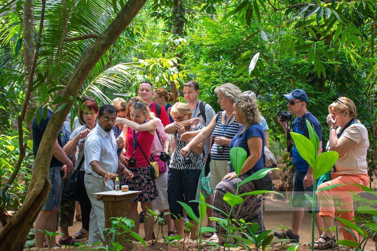 Kandy: Nuwara Eliya Scenic Tour & Ella Train Drop Experience