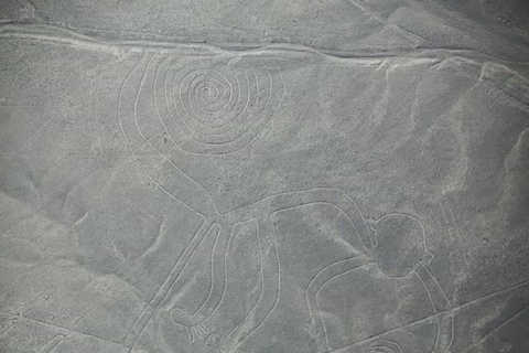 Nazca: Nazca Lines Flight with Hotel Pickup