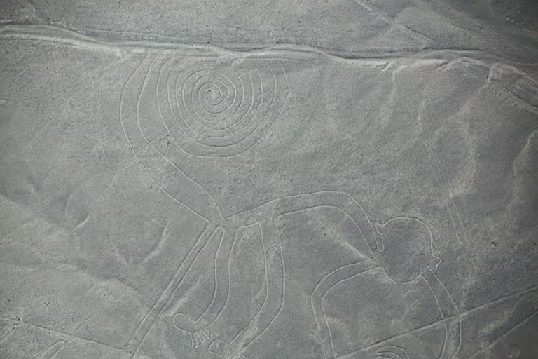 Nazca: Nazca Lines Flight with Hotel Pickup