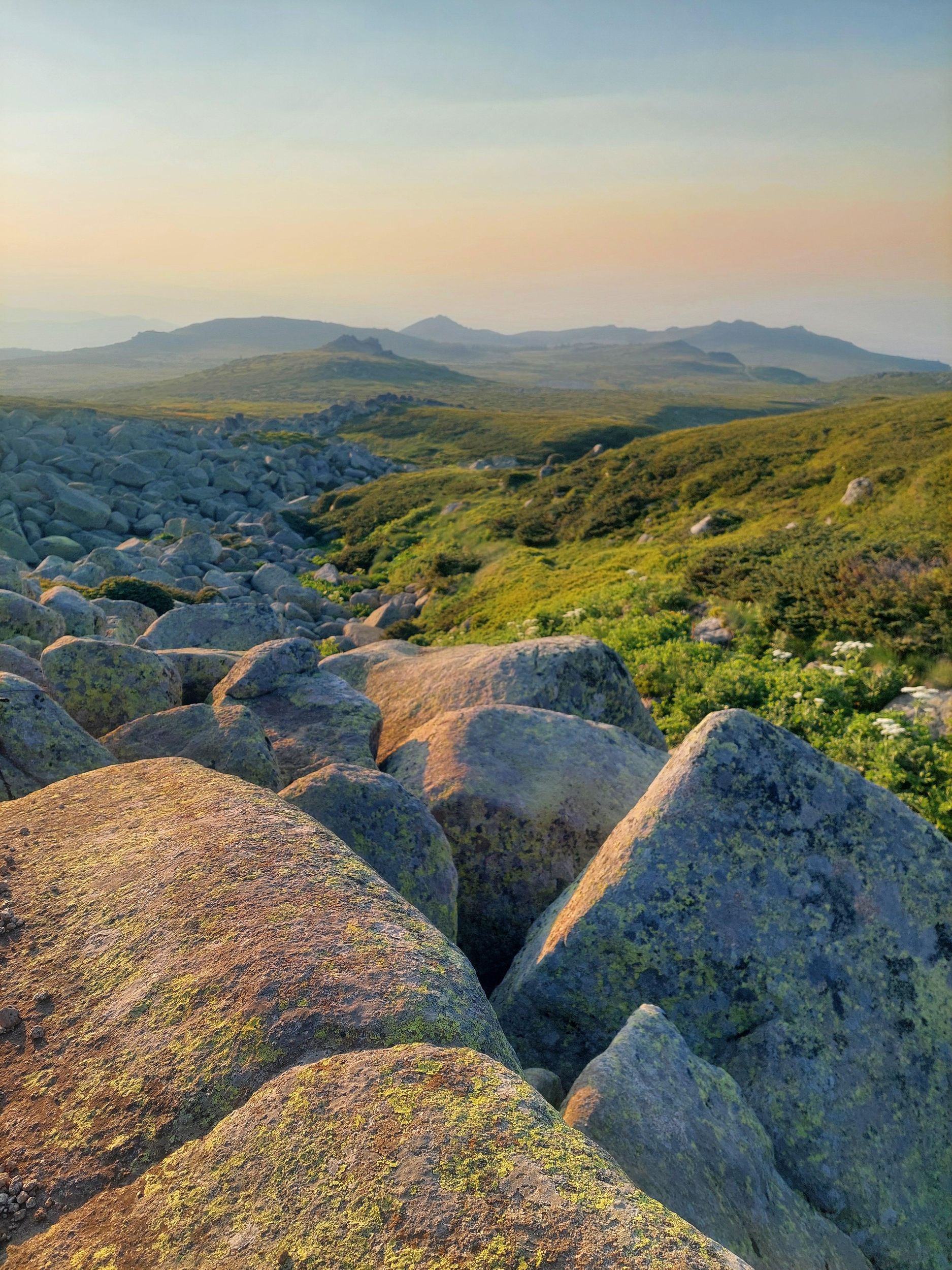 Sofia von oben: Private Wanderung auf dem Witoscha-Berg