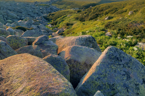 Sofia from above: Vitosha Mountain Private Hike