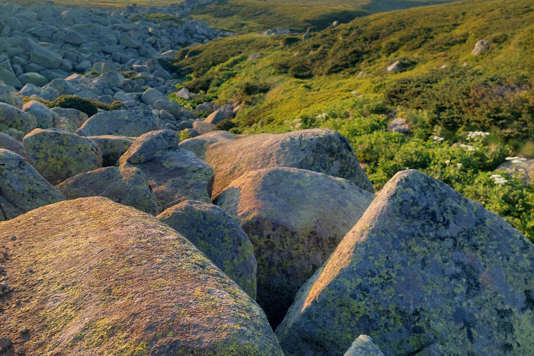 Sofia from above: Vitosha Mountain Private Hike