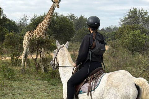 Jozi: Guided Horseback Safari Through African Wildlife