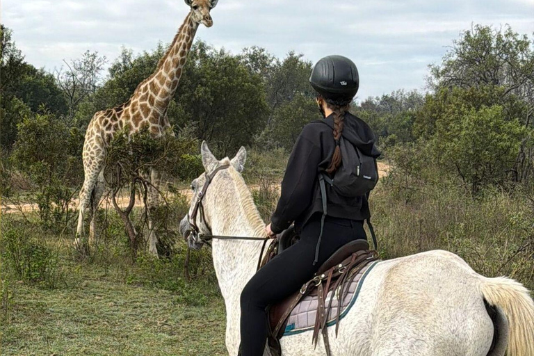 Jozi: Guided Horseback Safari Through African Wildlife