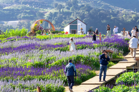 Chiang Mai: Mon Jam Flower Hills, Alpaca Cafe & Dantewada