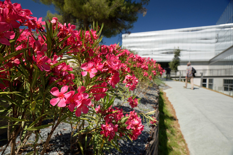 Nîmes: Musée de la Romanité Ticket ohne Anstehen Einlass ohne Anstehen