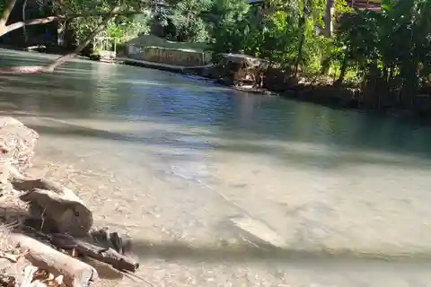 Tubing no rio e Dunn's River Falls