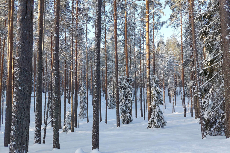 Nuuksio National Park Snowshoe Hike with Lunch & Pickup