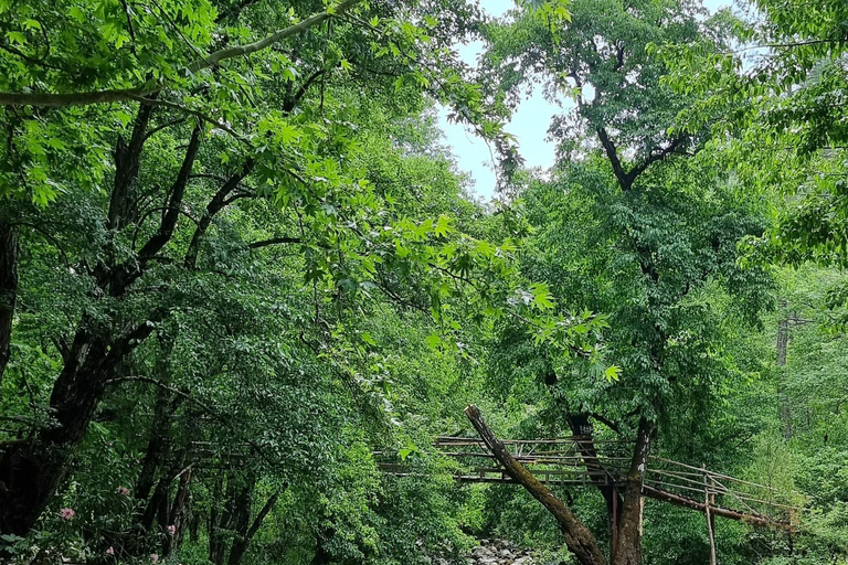 Desde Alanya: Excursión Safari en Quad/ATVTraslados desde los hoteles de Alanya