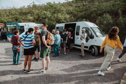 Pompeii en de Vesuvius: Tour zonder wachtrij voor kleine groepen