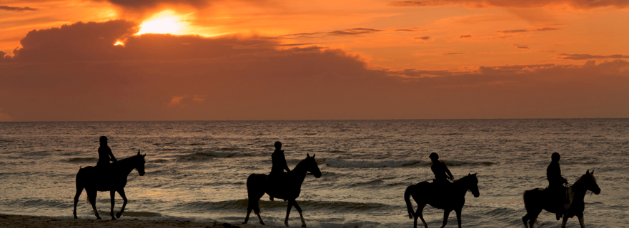 Puerto Rico : Balades à cheval au coucher du soleil sur la plage d'Aguadilla