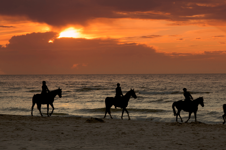 Puerto Rico : Balade à cheval au coucher du soleil sur la plage