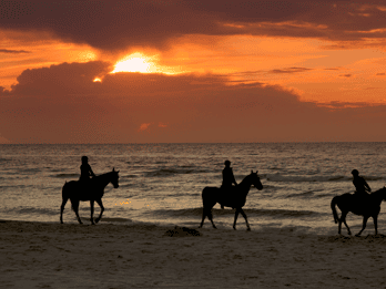 Puerto Rico : Balades à cheval au coucher du soleil sur la plage d'Aguadilla