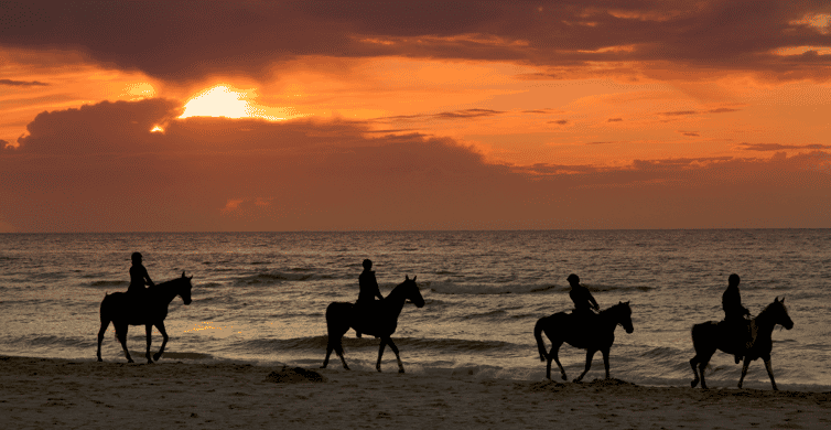 Puerto Rico: Sunset Horseback Rides in Aguadilla Beach