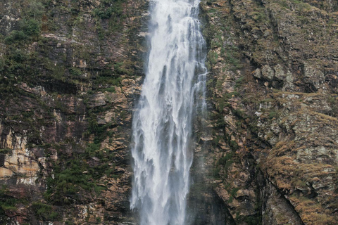 From São Paulo: 5-Day Serra da Canastra Wildlife Safari