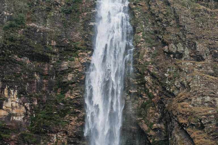 From São Paulo: 5-Day Serra da Canastra Wildlife Safari