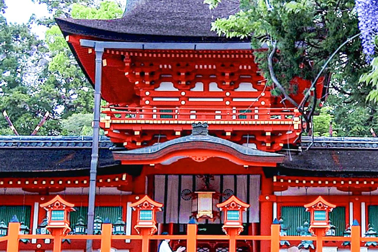 A Thousand Blossoms & Deer: Nara Spring Day Tour