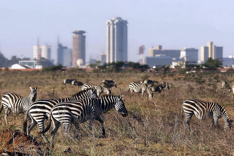 Nairobi National Game Drive and Giraffe Centre Guided Tour