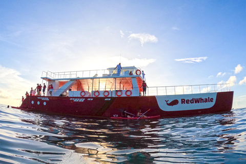 Ballena Roja | Boracay: Crucero, Música y Actividades Acuáticas