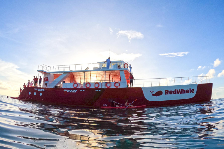 Ballena Roja | Boracay: Crucero, Música y Actividades Acuáticas