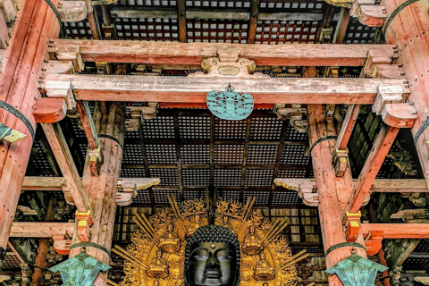 Kyoto & Nara: Fushimi Inari, Arashiyama & Sacred Deer Nara: UNESCO Ancient Capital, Great Buddha & Sacred Deer