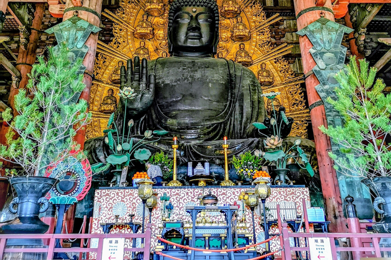 Kyoto & Nara: Fushimi Inari, Arashiyama & Sacred Deer Nara: UNESCO Ancient Capital, Great Buddha & Sacred Deer