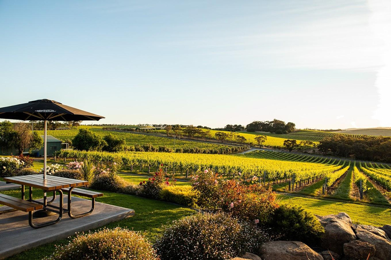 Adelaide: McLaren Vale Private WineTour+Your Chosen Tastings