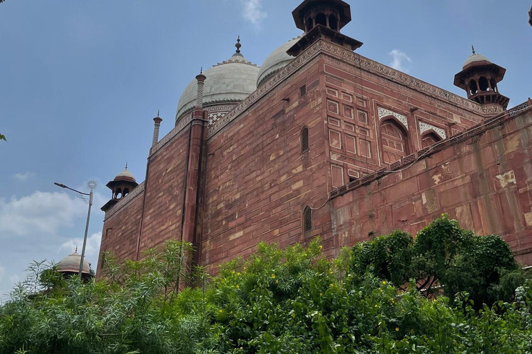 泰姬陵豪华一日游（含导游和午餐）奔驰全包游（导游、午餐、门票）