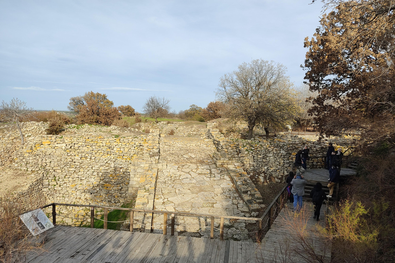 Istanbul: Troy Guided Day Trip with Ferry Ride