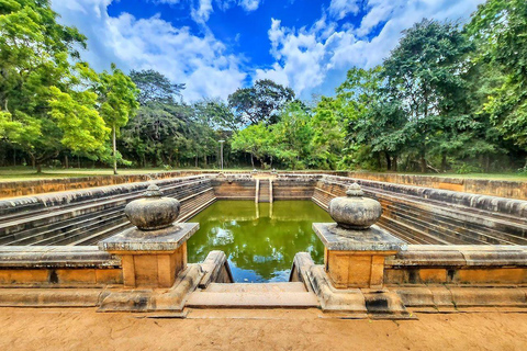 Sigiriya Dambulla Anuradhapura & Wilpattu safari 3-Day Tour Air Conditioned Van