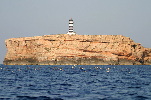 Colonia Sant Jordi: tour Premium e veloce in barca intorno a CabreraGiro veloce