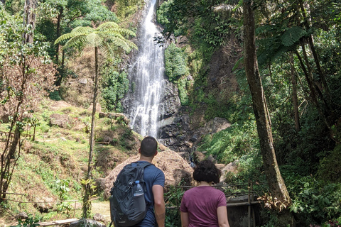Bandung Countryside Tour: Waterfall, Rice Fields &amp; Culture