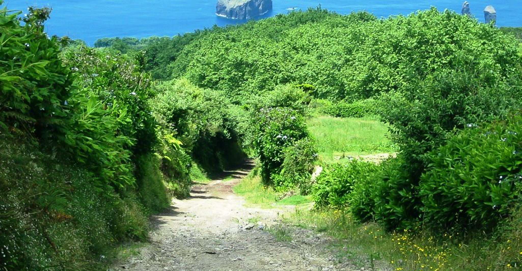 Açores, sept villes Scenic Jeep Tour de Ponta Delgada - Housity