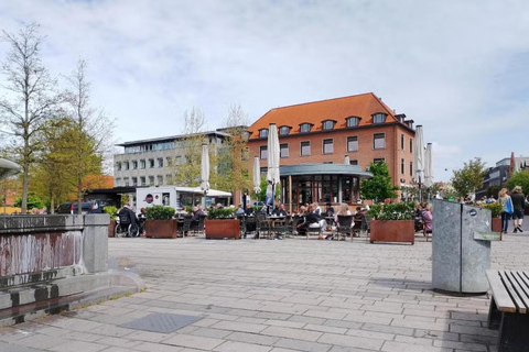 Private: Roskilde Heritage & Viking Discovery Tour