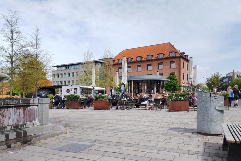 Private: Roskilde Heritage & Viking Discovery Tour