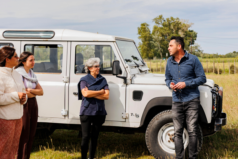 Aigues-Mortes 3H: Discover the secret Camargue in a 4x4 Full-Day