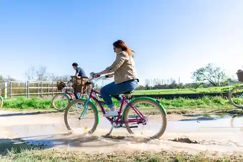 Marais Poitevin: Entdeckungstag auf den Spuren der Baumönche