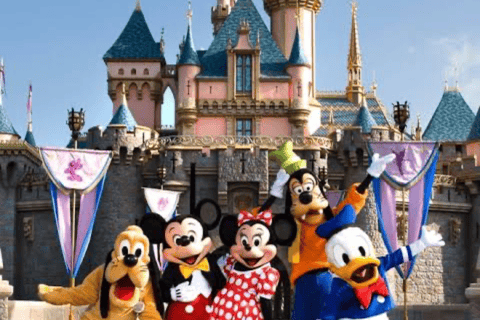 From Tokyo: Tokyo Disneyland Private Customized Tour