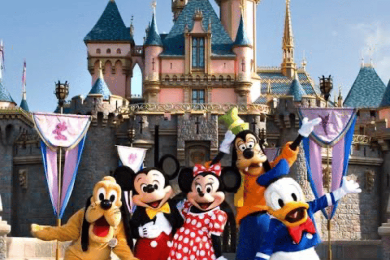 From Tokyo: Tokyo Disneyland Private Customized Tour