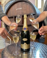 From Reims, Champagne Day Trip to Two Local Domains & Lunch - Housity