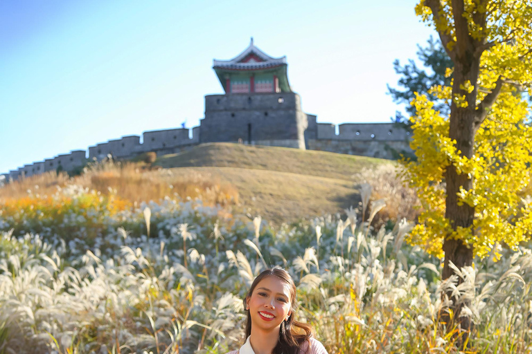 Seoul: Jangtaesan, Starfield Library, & Suwon Day Trip