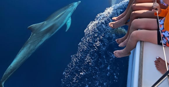 Marbella: luxury sailing experience ,dolphins,drinks,snack
