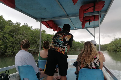 مانويل أنطونيو: جولة بالقارب بين أشجار المانغروف لمشاهدة الحيوانات