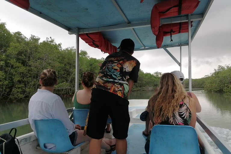 مانويل أنطونيو: جولة بالقارب بين أشجار المانغروف لمشاهدة الحيوانات