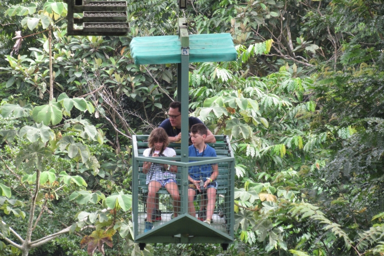 Tram aérien et sanctuaire de paresseux dans la forêt tropicale