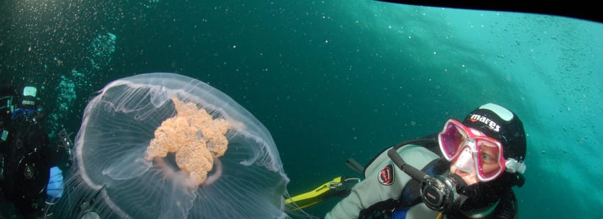 Lofoten : première expérience de plongée sous-marine