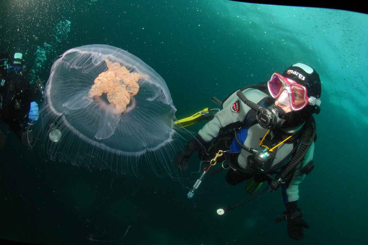 Lofoten: First Time Scuba Diving Experience