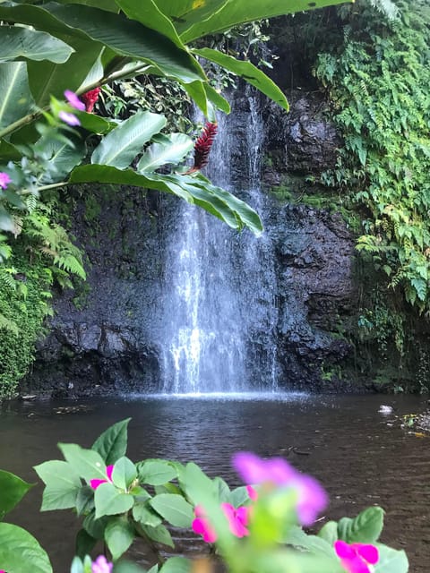 Visite le matin du jardin aquatique Vaipāhī de Tahiti