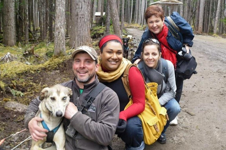 Skagway, Alaska: Musher's Camp® Dog Sled Adventure Skagway: Musher's Camp Dog Sled Adventure