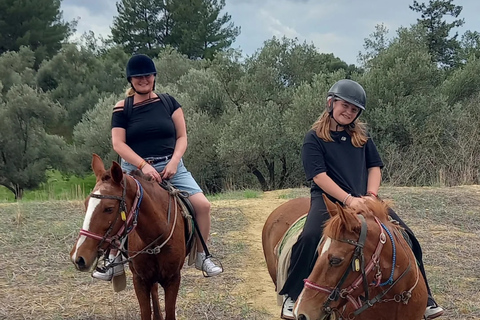 Kuşadası: VIP Horseback Riding and Sunset Beach Safari 3-Hour Sunset Forest & Village Safari